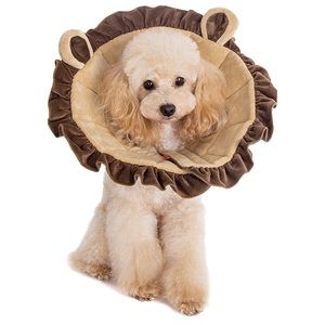 Alfie Pet - Lion Collar (for Dogs and Cats) - Size: Small